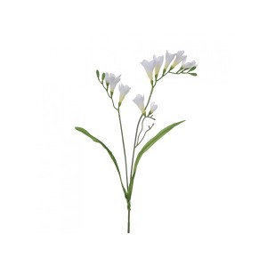 7-009FR CREAM